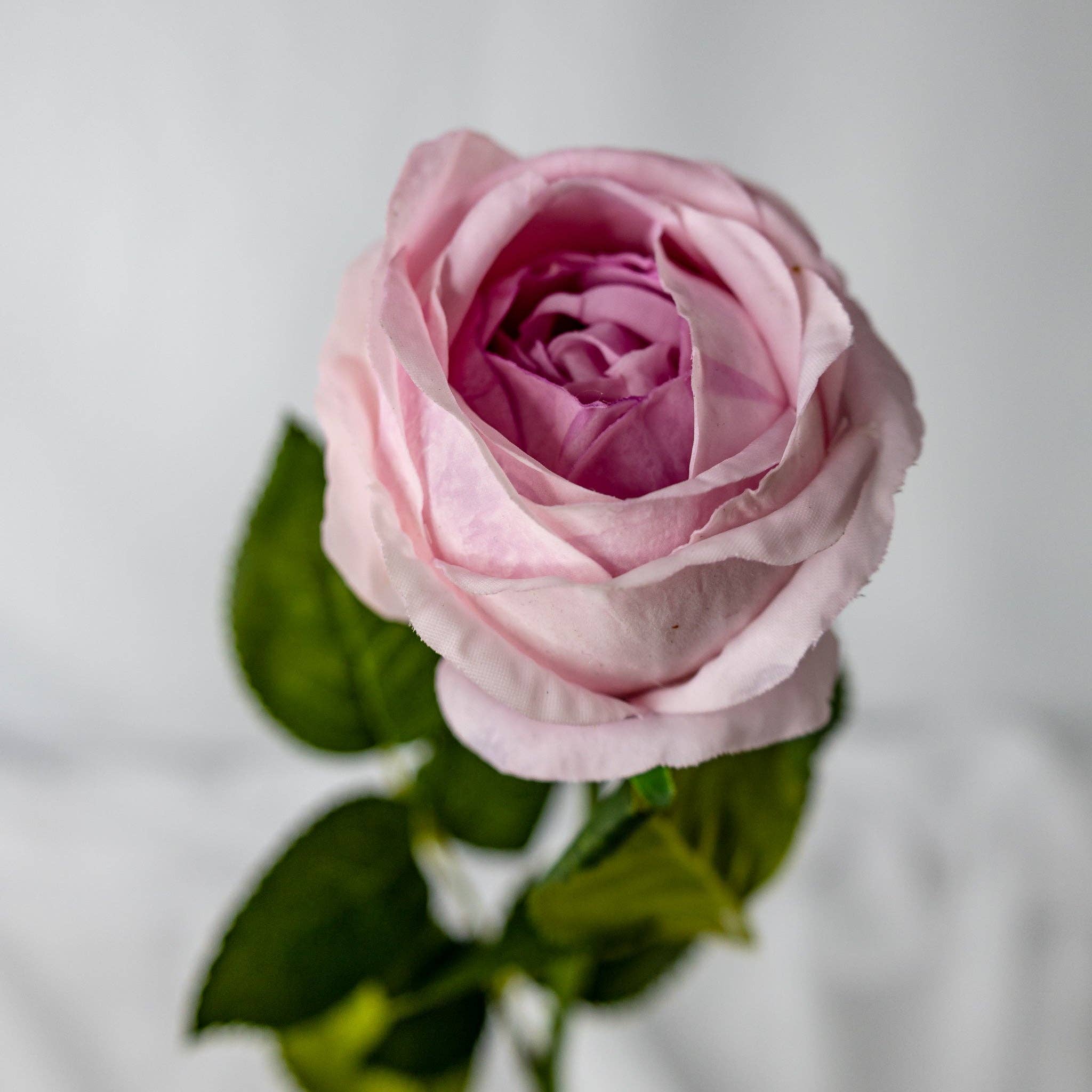 Realistic Artificial Flowers - Vendita all'ingrosso Fiori finti - Rosa vintage David Austin Real Touch, lilla, con bocciolo aperto2