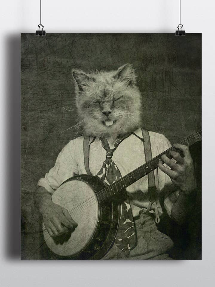 Banjo Cat Print for wholesale by The Wild Oddisorium