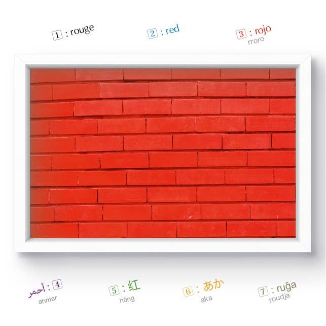 Balivernes éditions - Wholesale Preschool Book (3-5) - Colors - Multilingual Imaging1