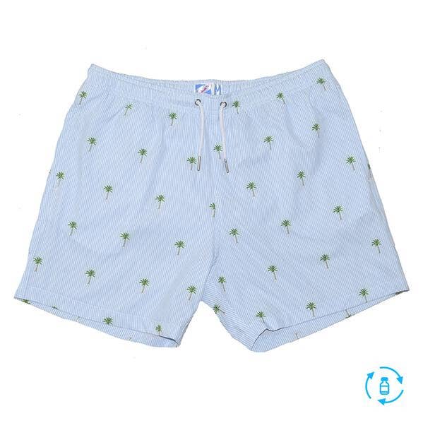 Palm Stripes - classic 6 inch for wholesale by Bermies