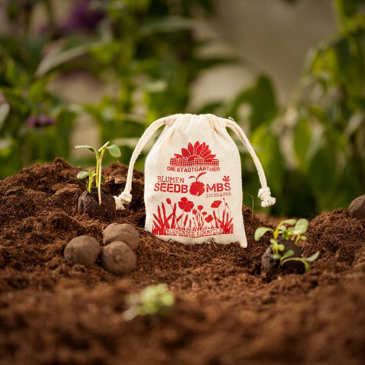 Seed Bombs - Blooming Cornfield for wholesale by TDJ Stadtgärtner GmbH