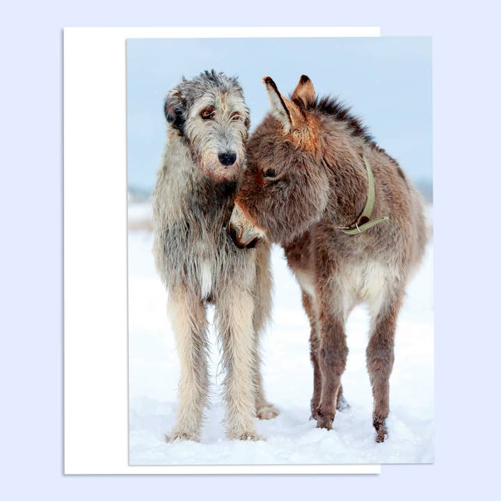 Donkey & Dog Happy Holidays Greeting Card for wholesale by Northern Exposure