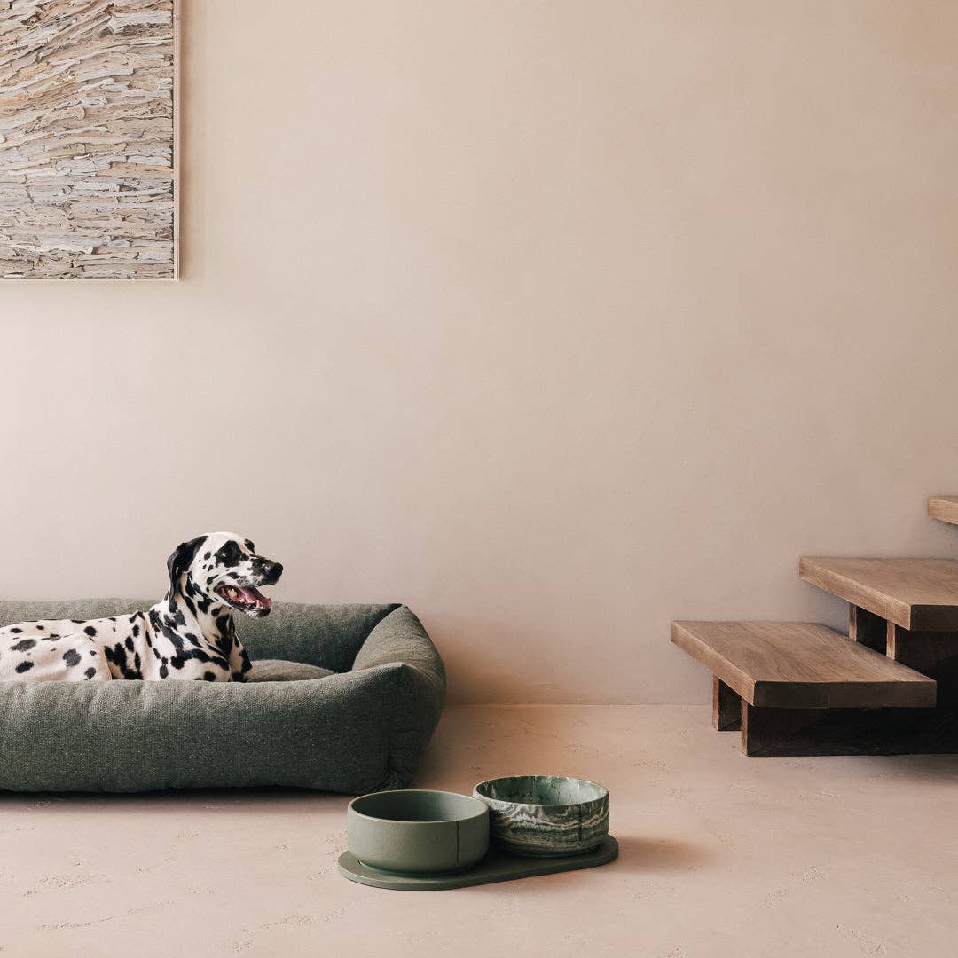 PINO – Engroshandel Kæledyrsskål – Hund – Klassisk skål36