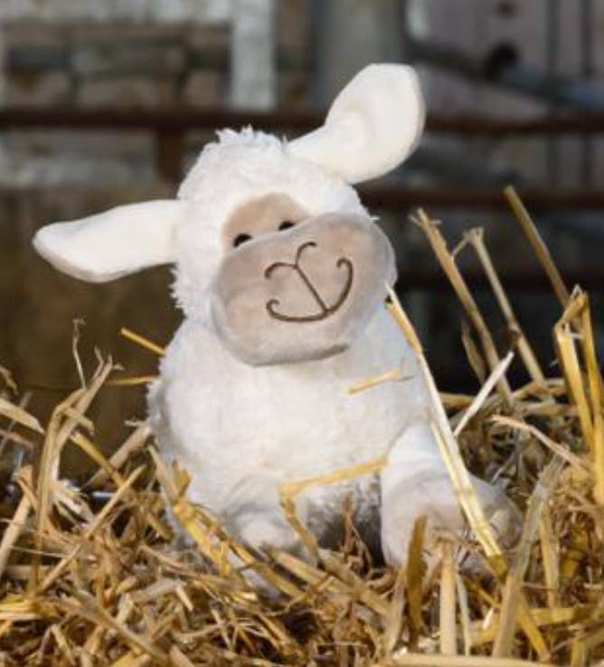 Jomanda Soft Toys & Accessories - Wholesale Knuffels - Kinderen en baby - Kleine witte knuffelknuffel van schapen, 18 cm7