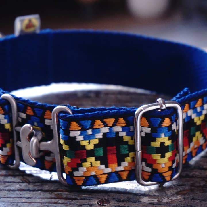 hundsfutter - Wholesale Pet Collar - Dog - Wide dog collar with multicolor design.4