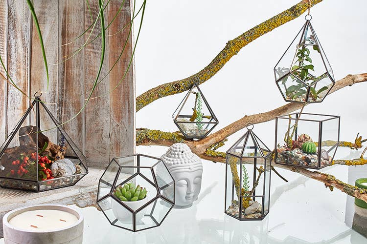 AWGifts Europe - Wholesale Terrarium - Glass Terrarium - Large Pyramid3