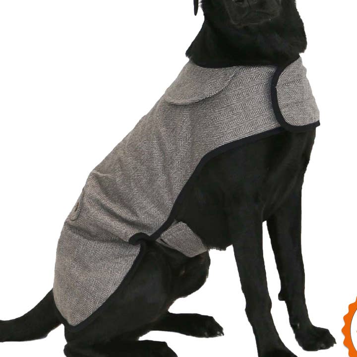 Manteau pour chien à chevrons Heritage L(50cm) ou XL(60cm) pour la vente par Ancol Pet Products Ltd