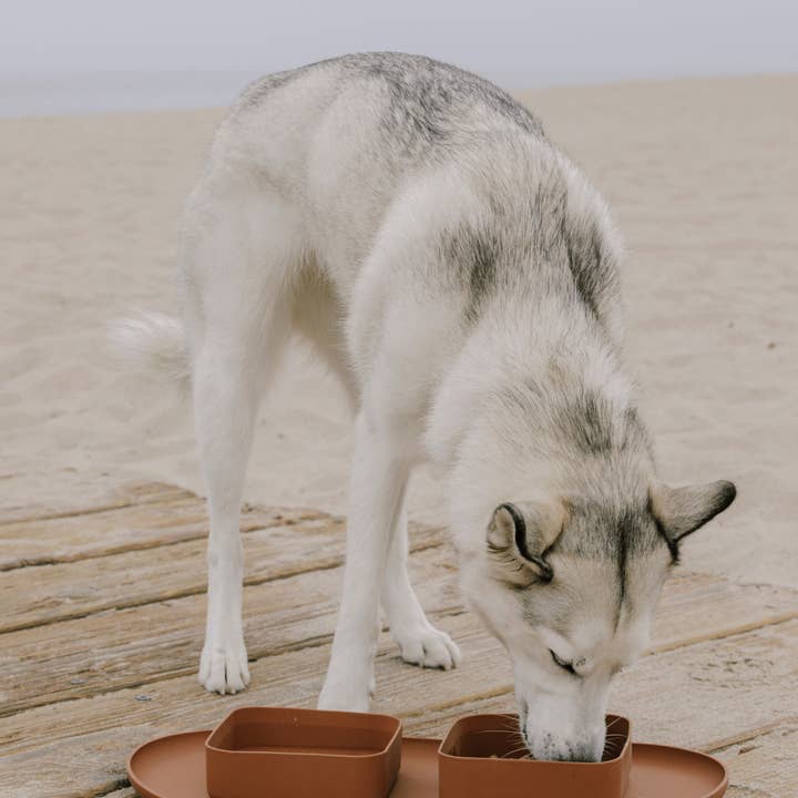 maxbone - Wholesale Pet Bowl - Cat/Dog - Square Bowls & Mat Set for Dogs2