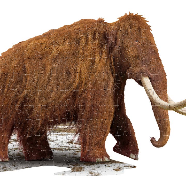 PUZZLE DISPLAY - Woolly 100pc for wholesale by Madd Capp Games & Puzzles