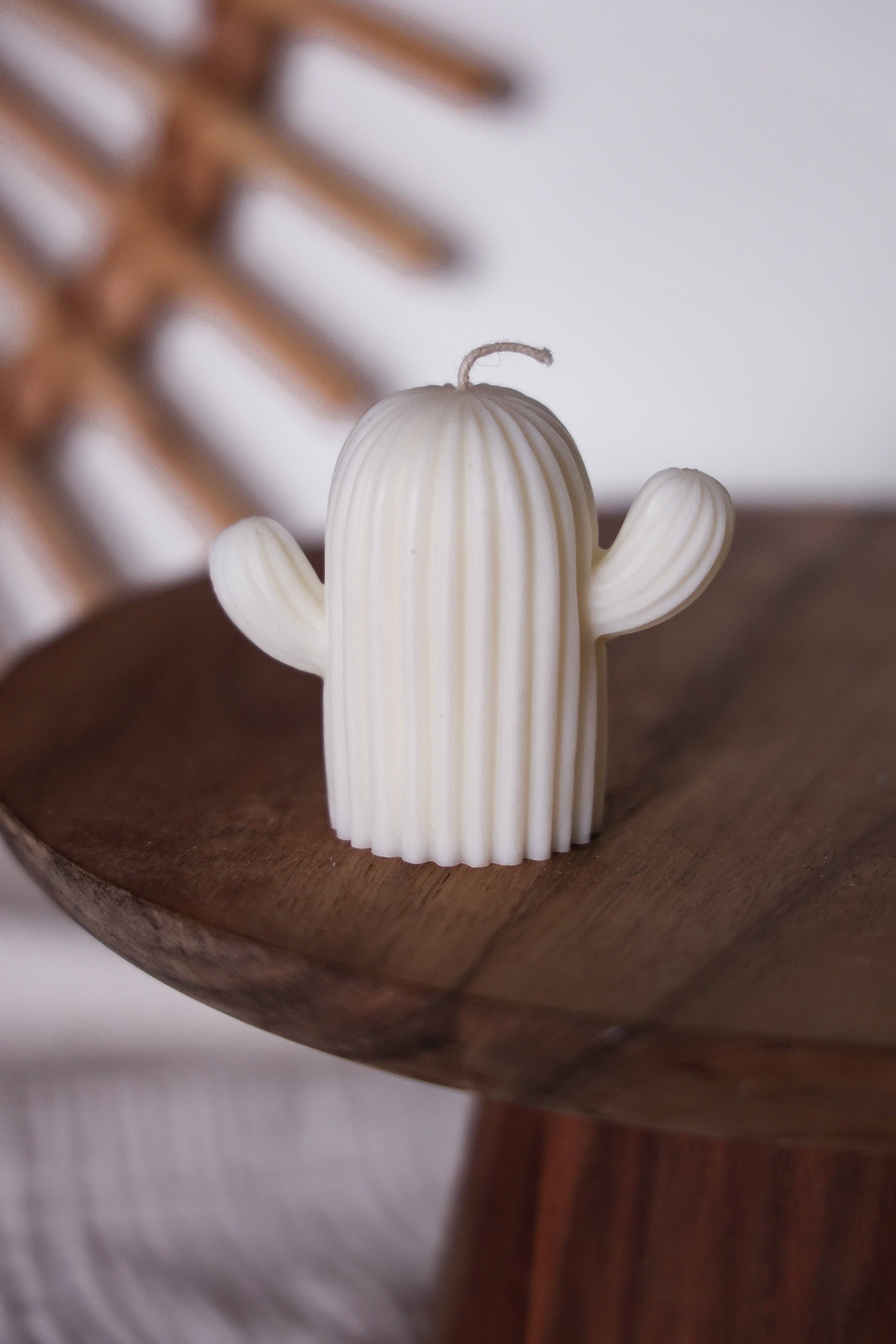 Niki Candle - Wholesale Novelty Candle - cactus2