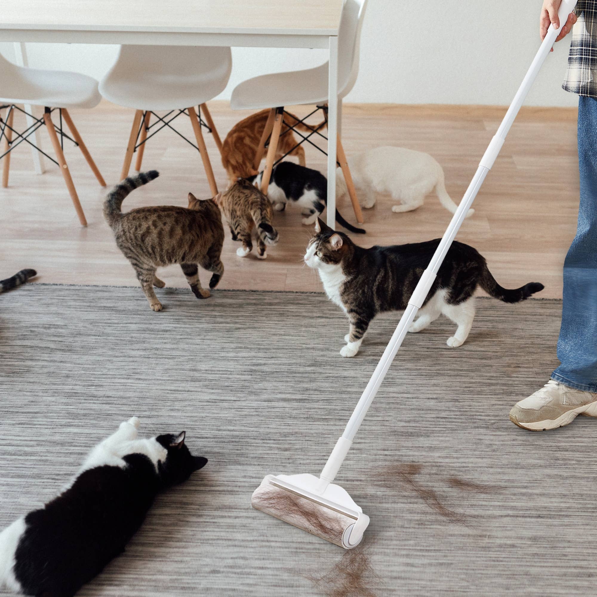 Salav-True & Tidy - Wholesale Lint Roller - Large 48 Inch Sticky Lint Roller (LR-48)4