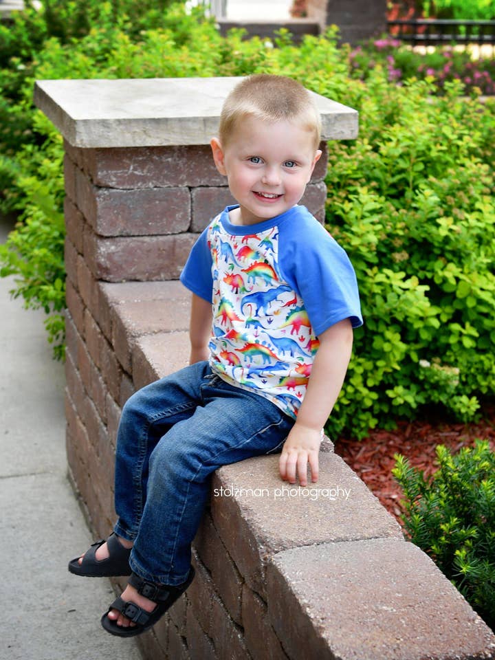 Raglan en soie et lait de dinosaure pastel pour la vente par Great Lakes Kids Apparel