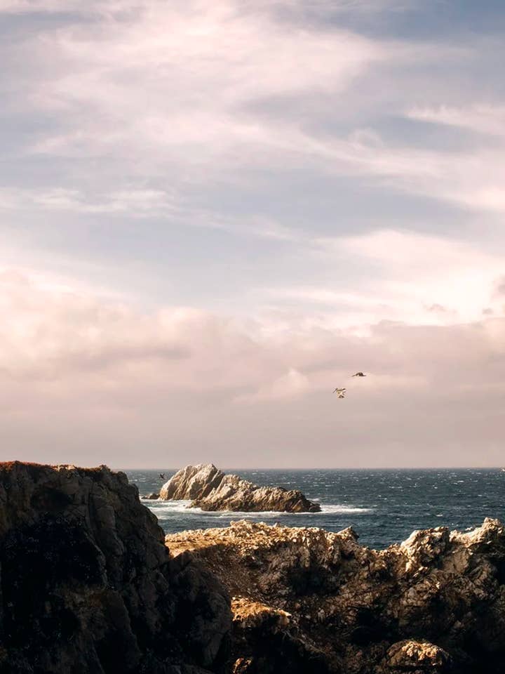 Kust nr 11 för wholesale av Wilder California