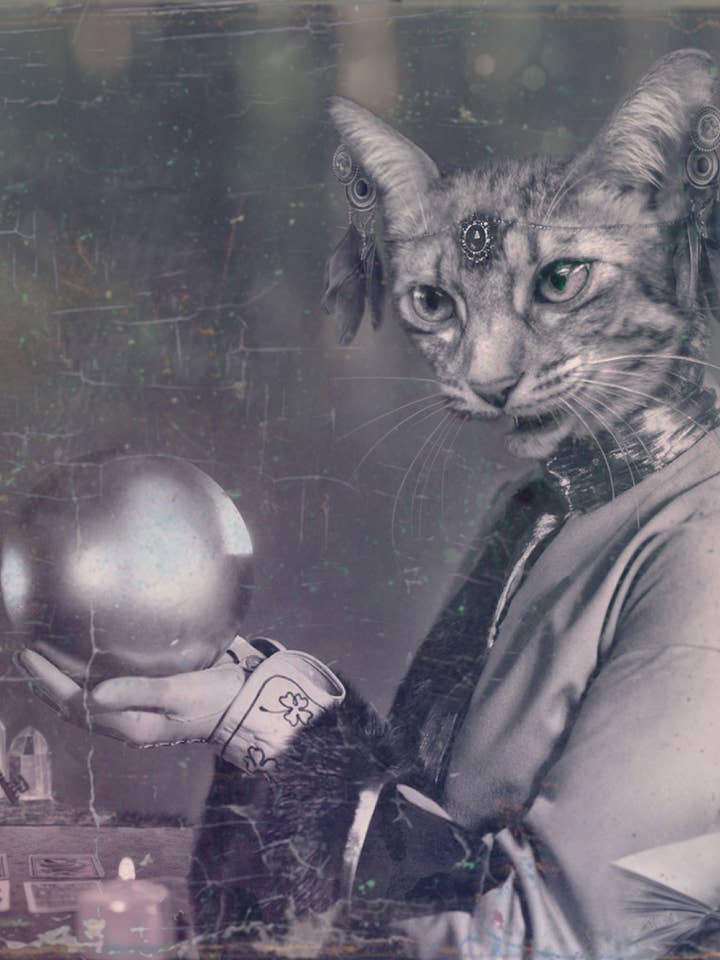 The Fortune Teller print for wholesale by The Wild Oddisorium