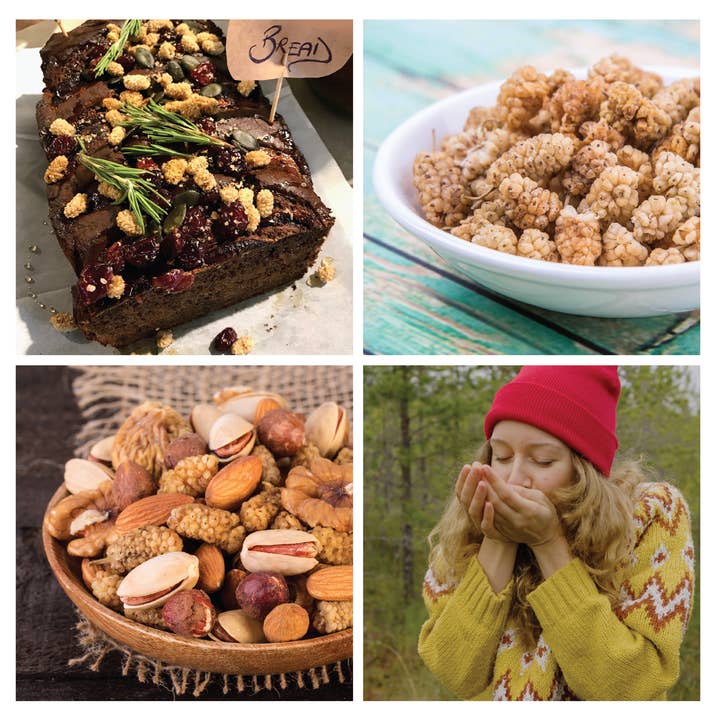Wilderness Poets - Wholesale Dried/Dehydrated Fruit - Organic White Mulberries