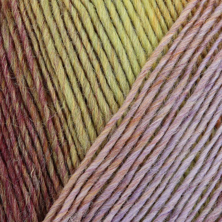 MEZ Crafts Germany - Vendita all'ingrosso Lana - Calzino REGIA Virtuoso Color in lana 5x150g14