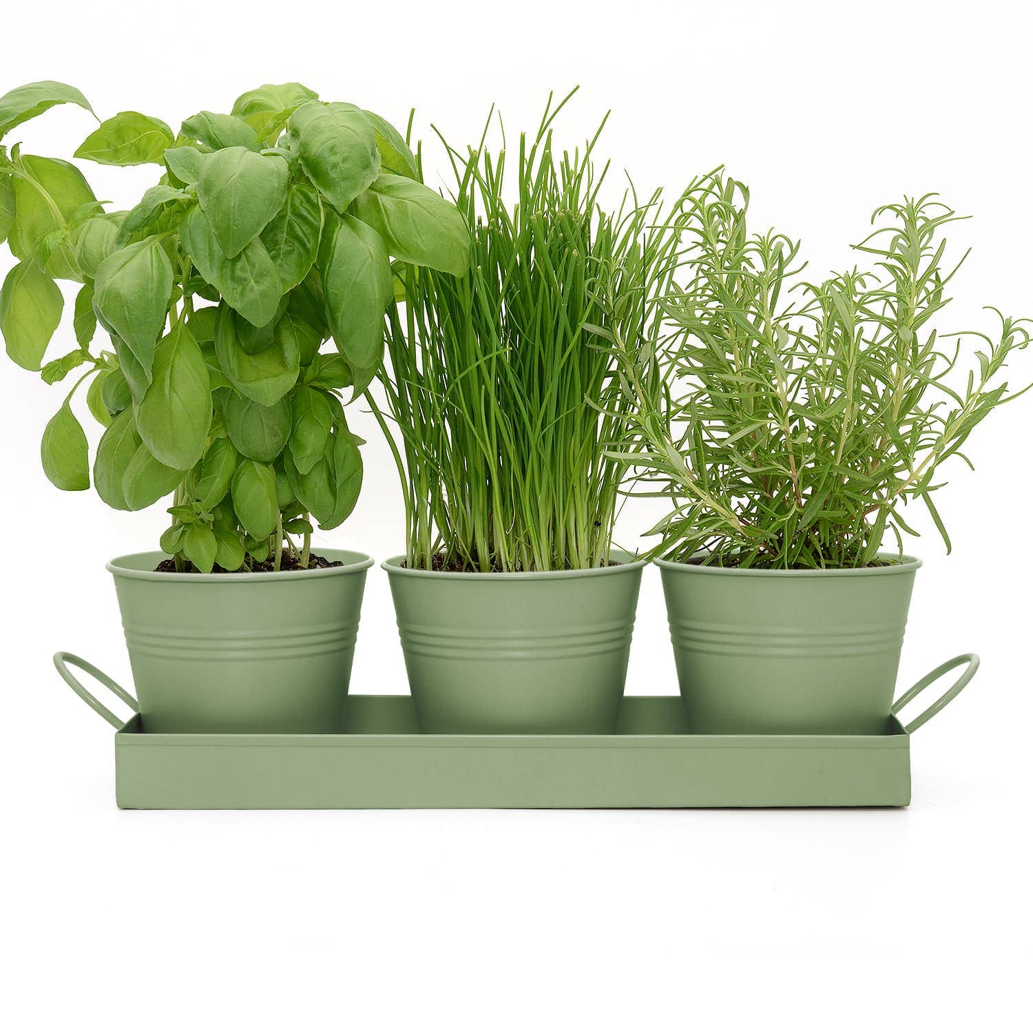 Wholesale Gifts Tomorrow – wholesale Plant pot – Set of 3 Metal Herb/Plant Pots with Drip Tray (Sage Green)4