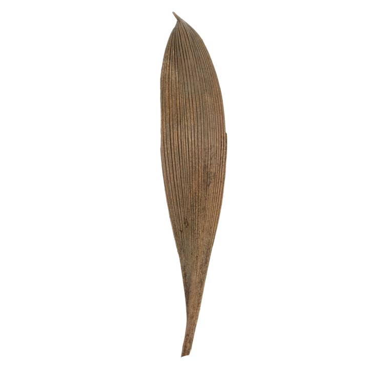 Vickerman 6-12" Natural Palm Paddles 32-37/Bag for wholesale by Vickerman