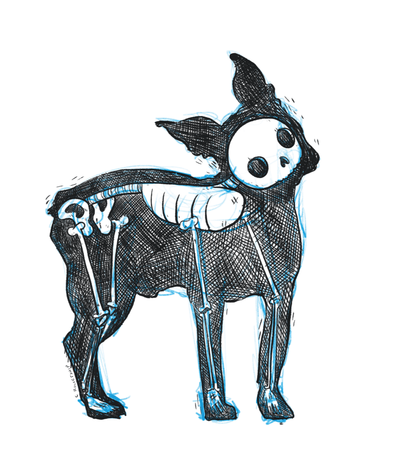 Cat Rocketship - Wholesale Art Print - Boston Terrier Skeleton - 8x10, 5x7 Print0