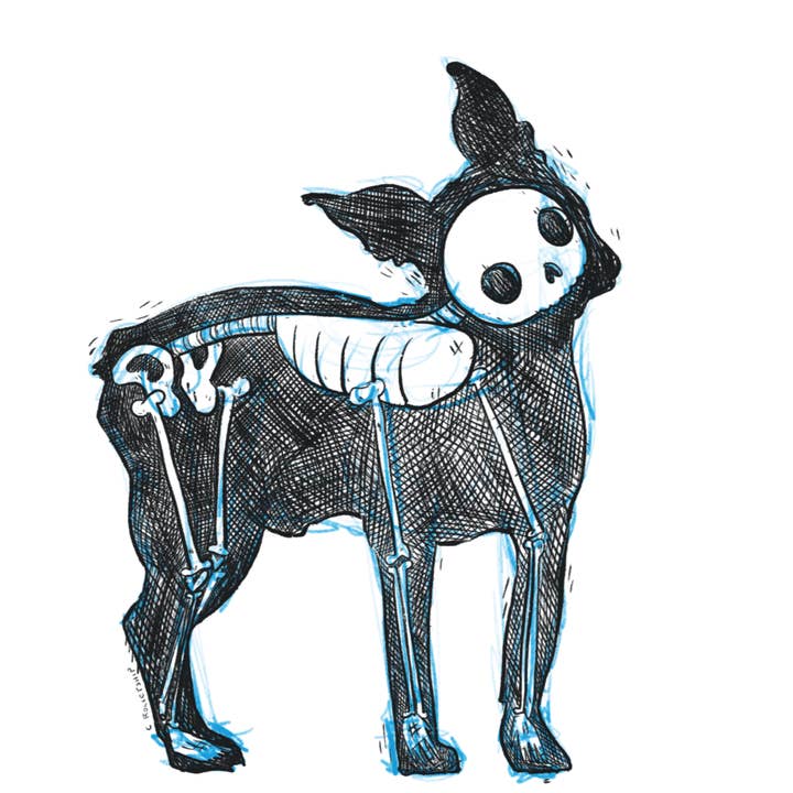 Cat Rocketship - Wholesale Art Print - Boston Terrier Skeleton - 8x10, 5x7 Print