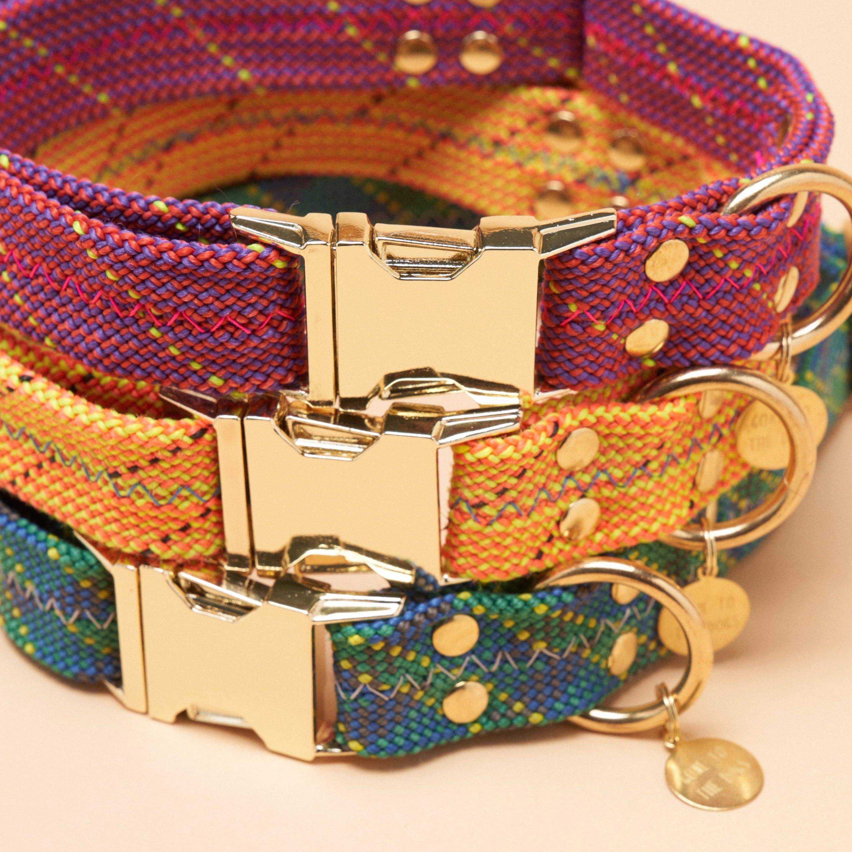 Dexter Large Dog Collar - Turbo Yellow for wholesale on Faire1