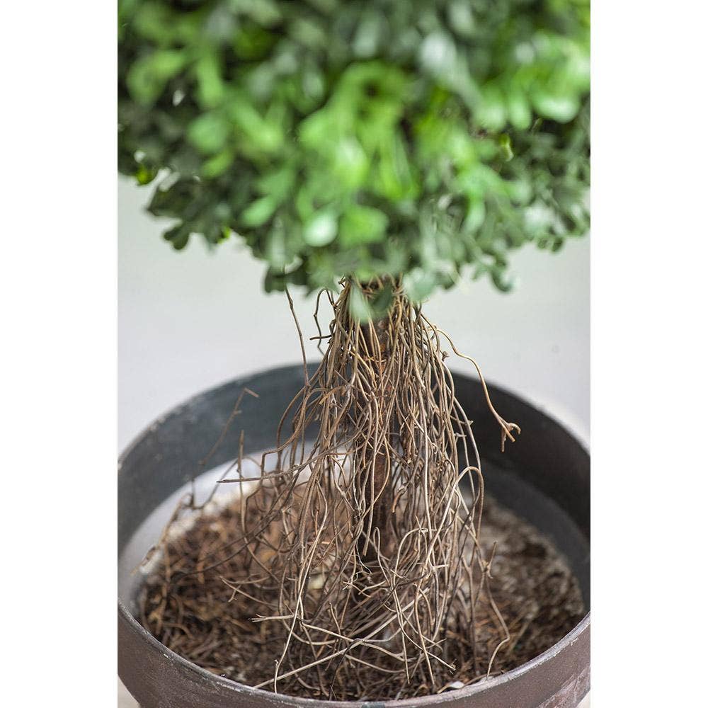 A&B Home Group Inc. - Vente Plantes artificielles - Arbre artificiel en buis de 7,5x7,5x35" dans un pot marron.2
