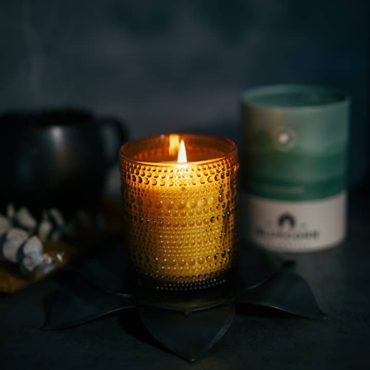 Bluecorn Candles – Vela em jarro/copo por atacado – Vela Perfumada com Aroma de Pinheiro Silvestre – Cera de Coco Vegan & Fragrância Limpa2