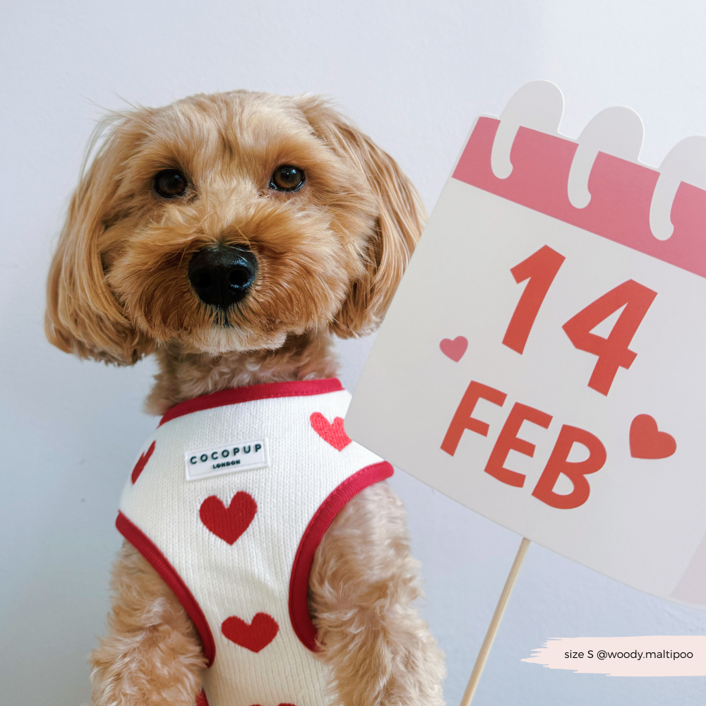 Cocopup London - Wholesale Pet Harness - Dog - Hugs & Knitted Adjustable Neck Harness16