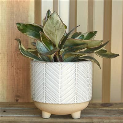 HomArt - Wholesale Plant pot - Ramos Chevron Cachepot, Stoneware - 41
