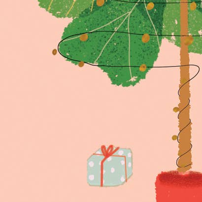 Carolyn Suzuki - Wholesale Christmas Card - FICUS LYRATA - Holiday Card2