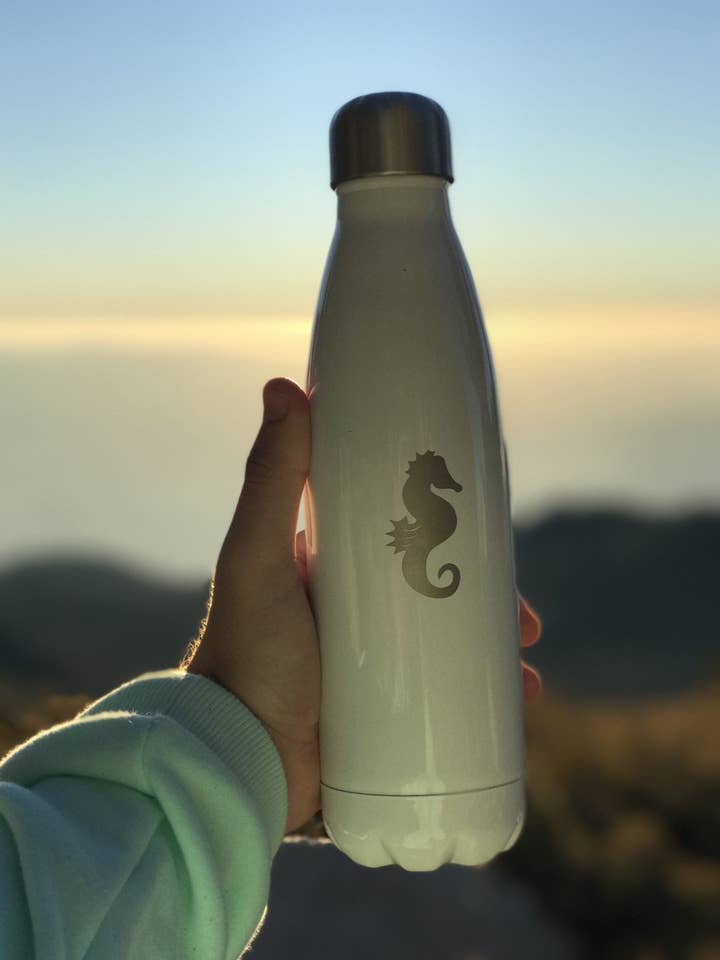 INSULATED STAINLESS STEEL BOTTLE for wholesale by Sunny Co