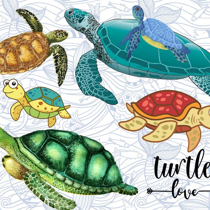 Cartolina di tartaruga per la vendita all'ingrosso da parte di Piles of Postcards