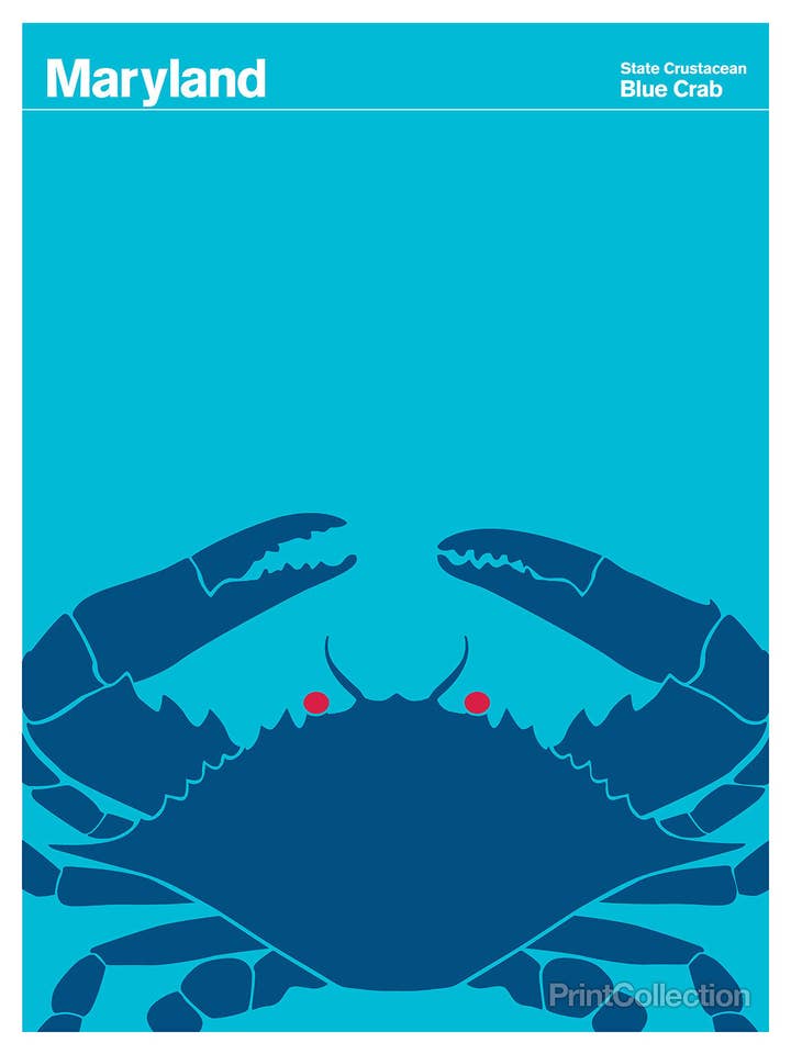 Maryland Blue Crab for wholesale by Print Collection