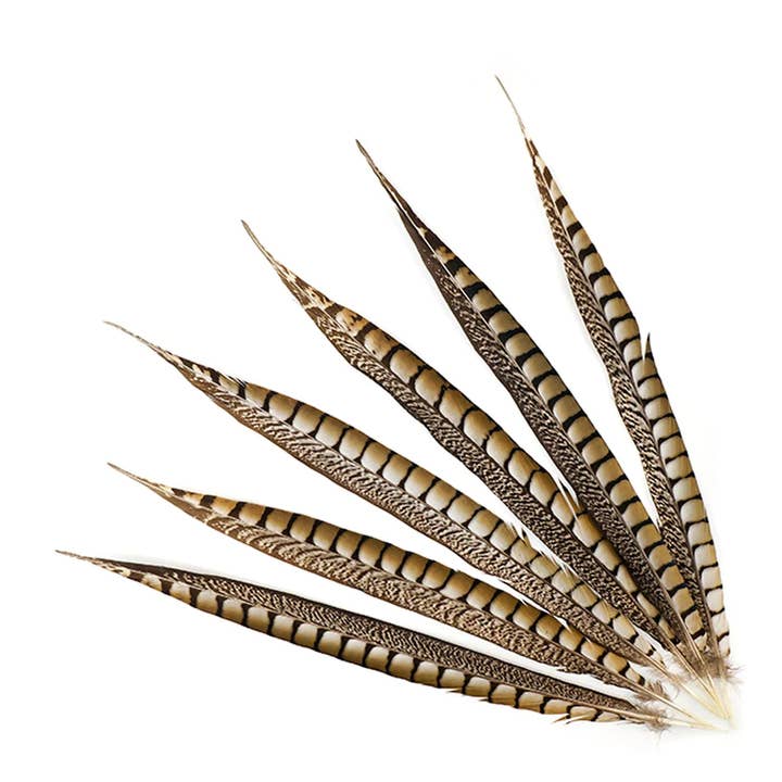 Zucker Feather Products - Wholesale Feathers - Lady Amherst Pheasant Tails - Natural - 16 - 20" 12 pcs1