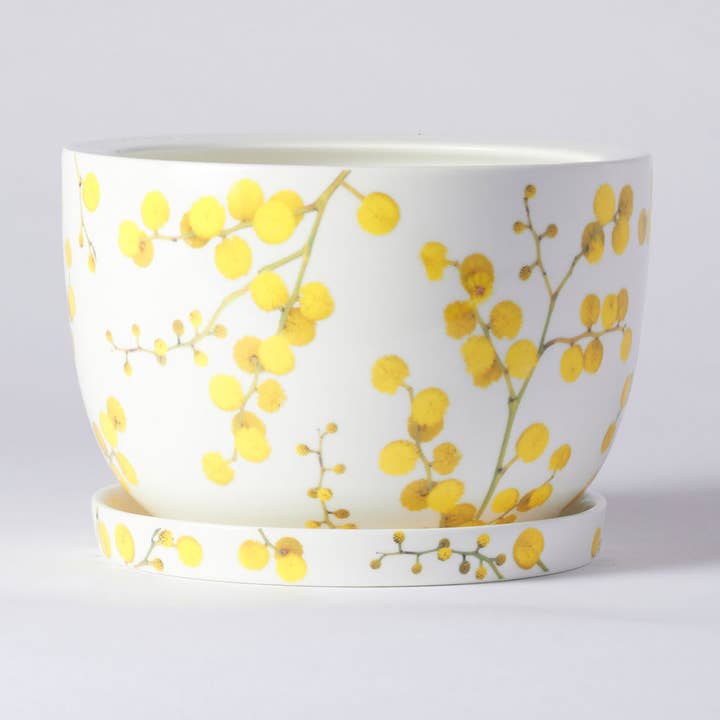 Pot de fleurs décoratif jaune Wattle pour la vente par Angus & Celeste
