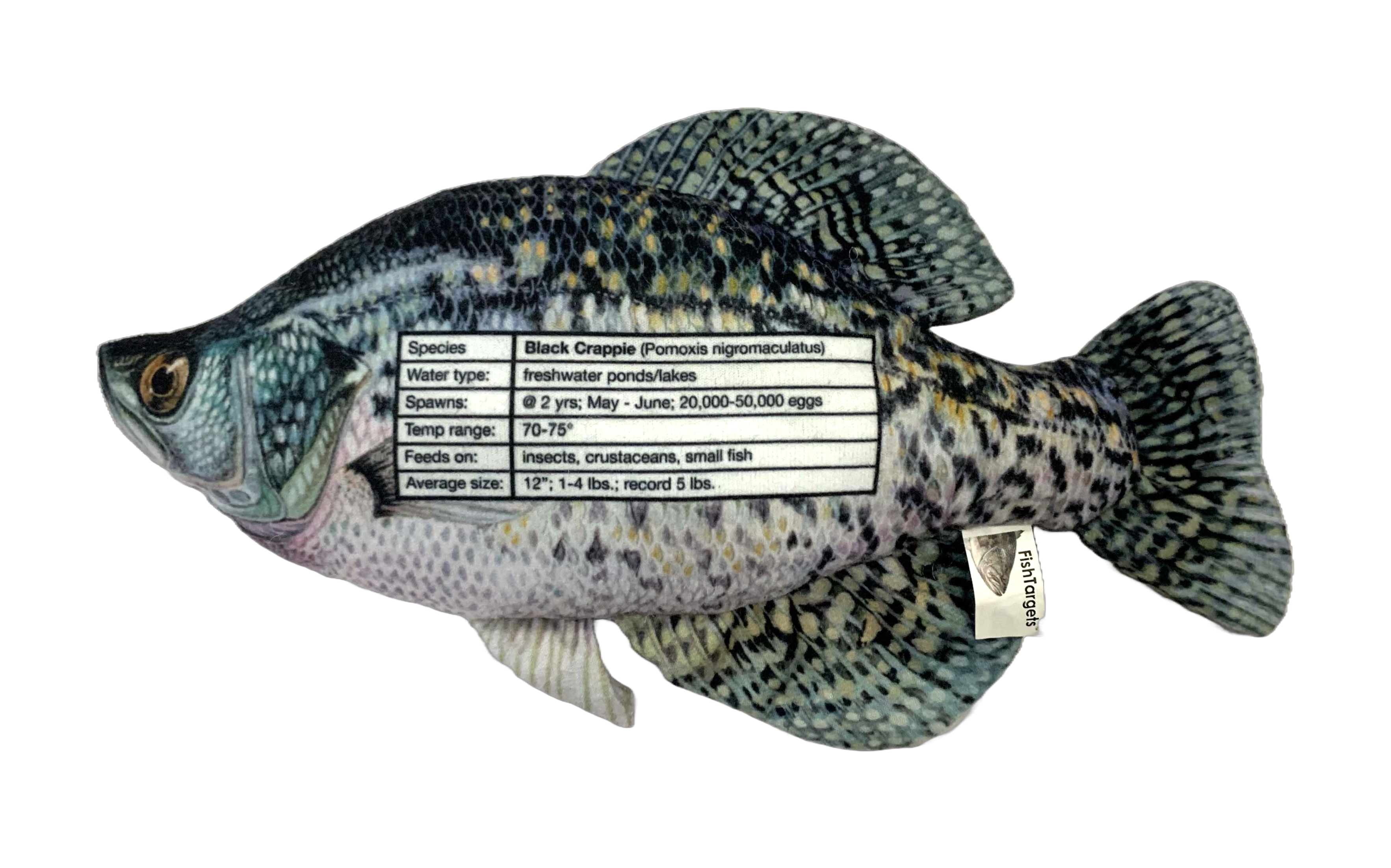 FishTargets - Wholesale Sporting accessories - Crappie Sporting Accessories for Indoor and Outdoor1