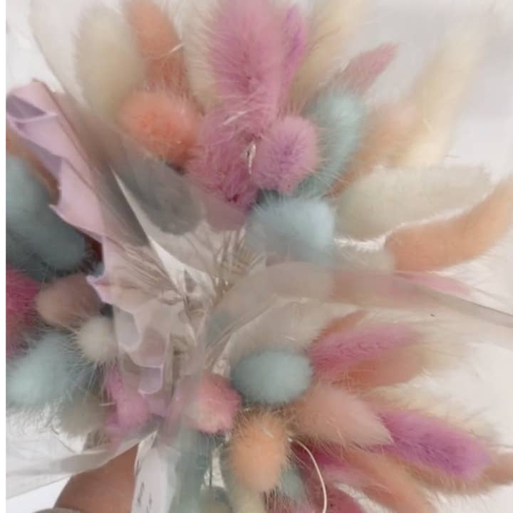 Bunny Tails Pastels for wholesale by pampas studio uk