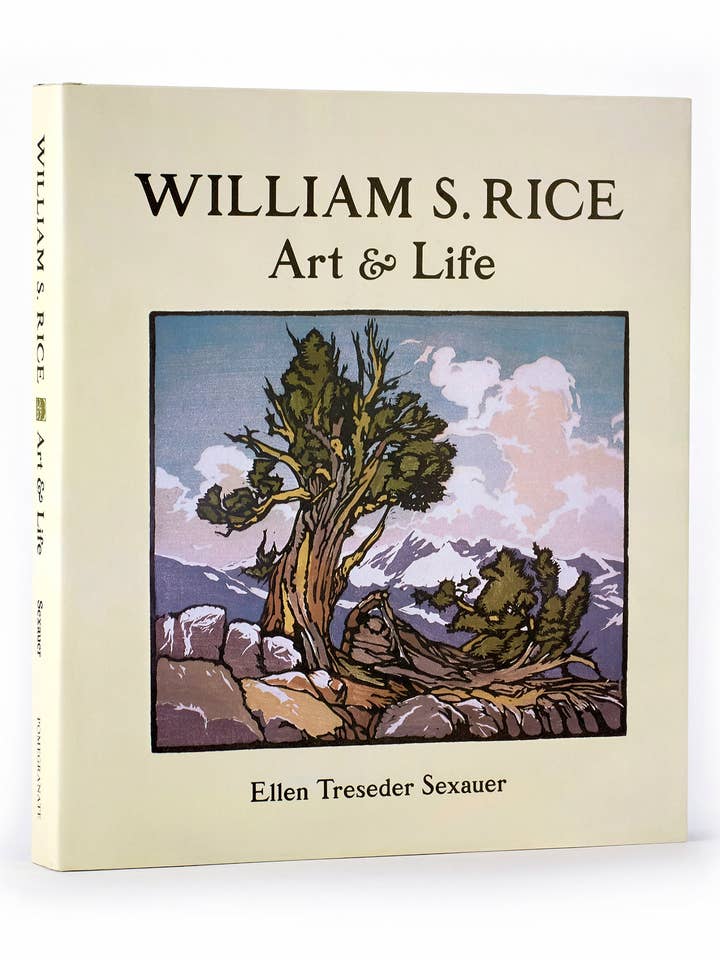 William S. Rice: Art & Life for wholesale by Pomegranate