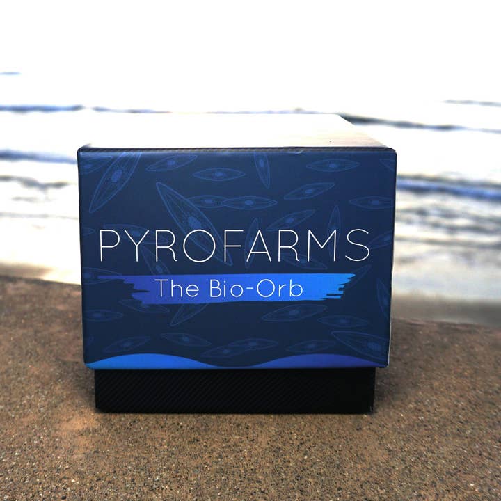 PyroFarms - Venta al por mayor Artículo decorativo de mesa - Opción de regalo Bio-Orb bioluminiscente2