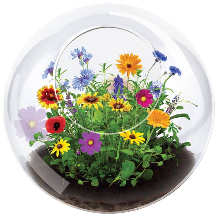 Silver Circle Products - Wholesale Terrarium - Wildflowers Glass Terrarium