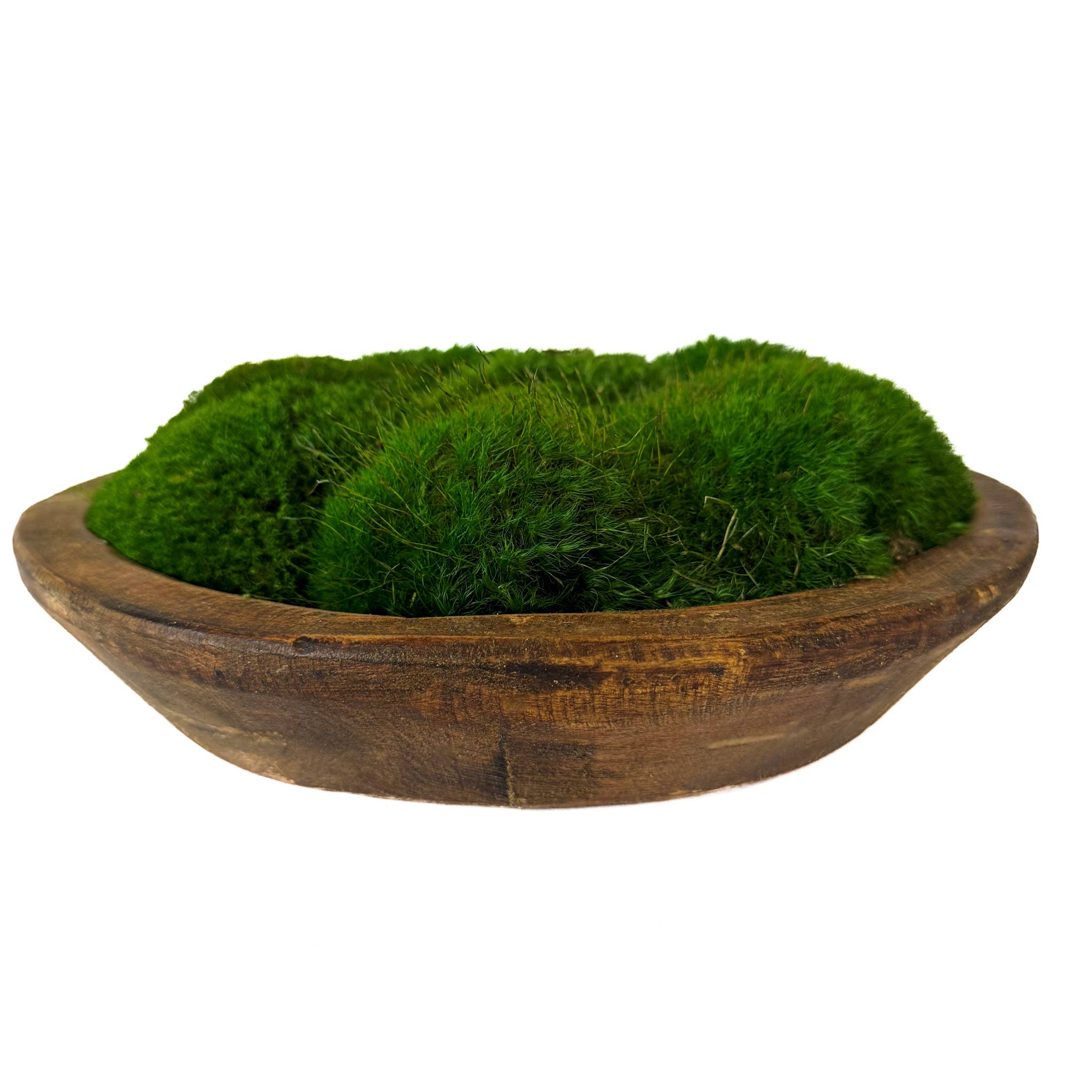 Forever Green Art - Vente Assiettes/plats/bols de décoration - Bol en bois rustique avec mousse d'humeur préservée2