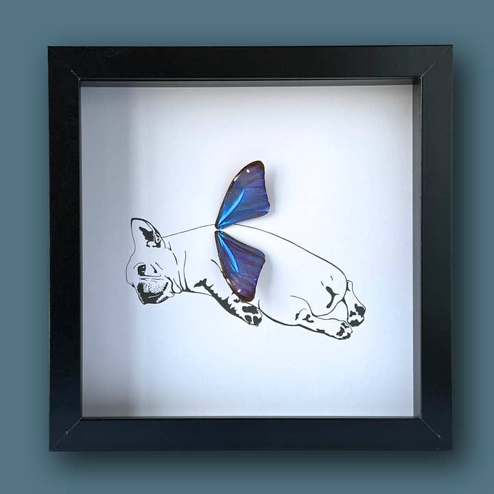Sprawled Frenchie French BullDog Framed Art with Real Butterfly Wings for wholesale by Isms