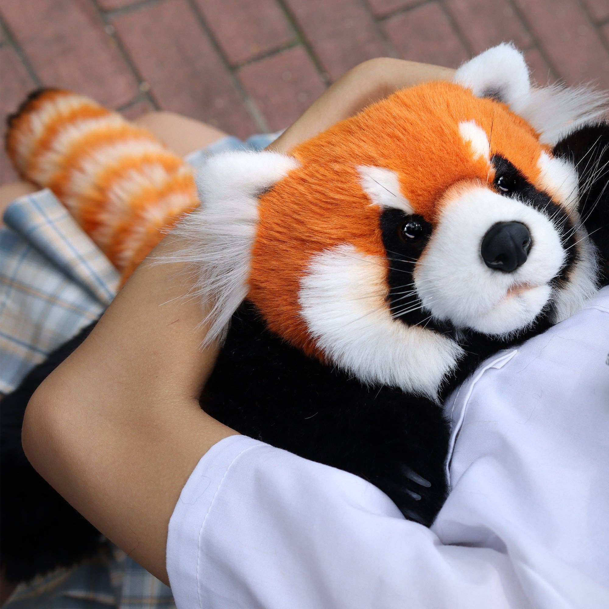 Chongker - Wholesale Stuffed/Plush Toy - Kids & Baby - Red Panda Weighted Plush – Snuggle Toy for Stress Relief7