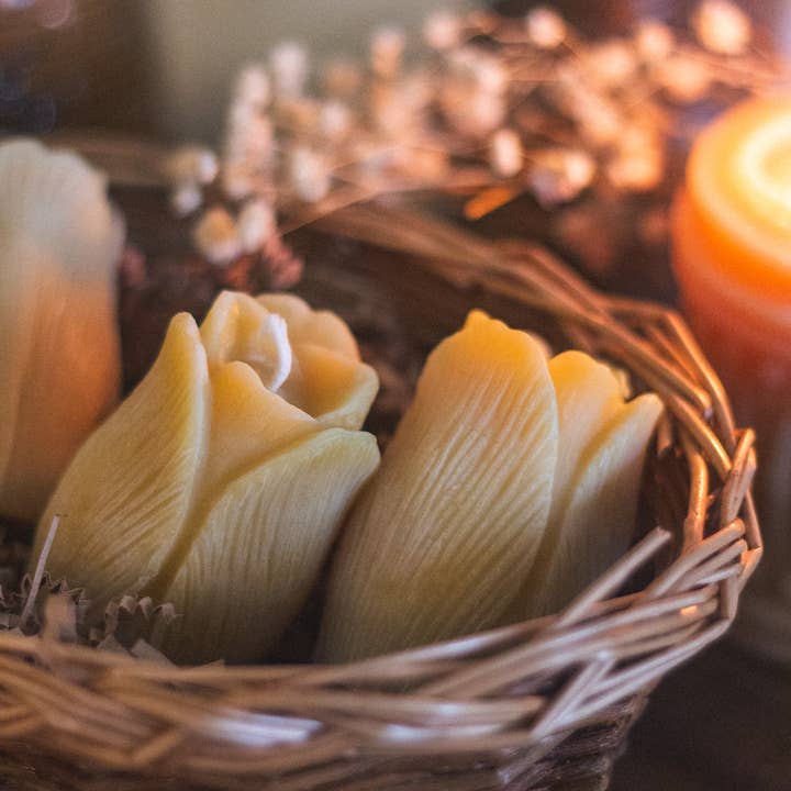 The Ramblin' Bee - Wholesale Novelty Candle - Tulip Shaped Beeswax Candle1