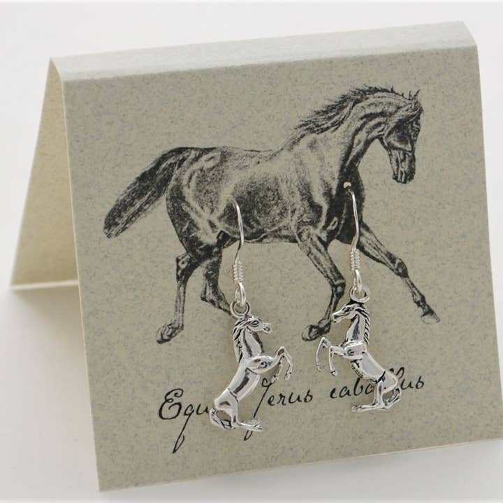 Semaki & Bird – Brincos de argola por atacado – Brincos pendentes de cavalo - prata esterlina História Natural