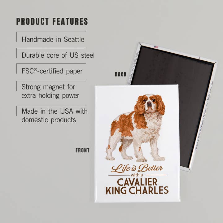 Lantern Press - Wholesale Magnet - MAGNET Cavalier King Charles, Life is Better2