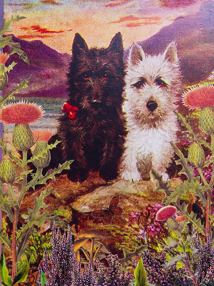 Scotties Eco-Friendly Everyday Greeting Card for wholesale by Diana Wilson Arcana