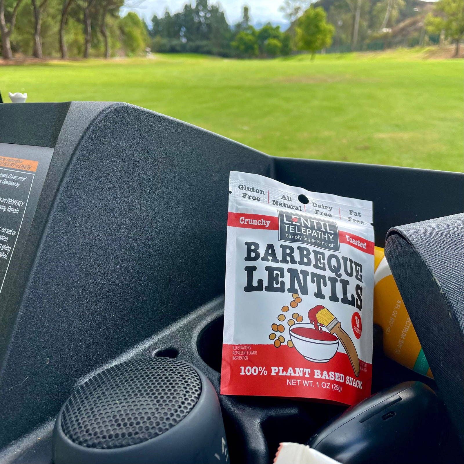 Lentil Telepathy - Wholesale Puffed Snack - Lentil Telepathy Tangy BBQ (Barbeque) Crunchy Toasted Snacks - 4oz Bags4