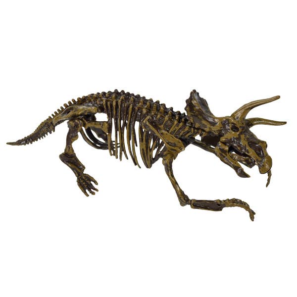 Play Visions - Wholesale Toy Set - Kids - Jurassic Dig Play Dirt2