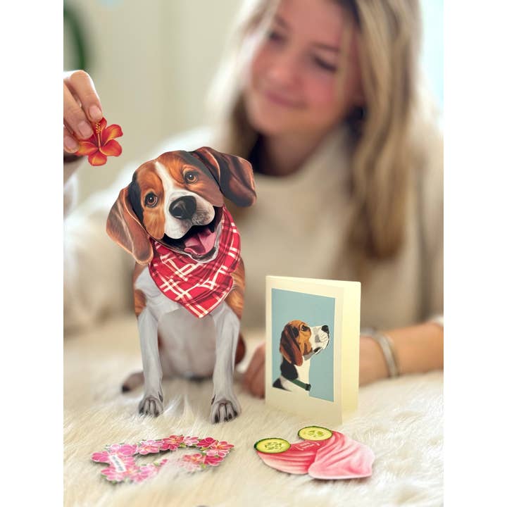 FreshCut Paper LLC – wholesale Vardagliga hälsningskort – Beagle (6 pop-up gratulationskort)2
